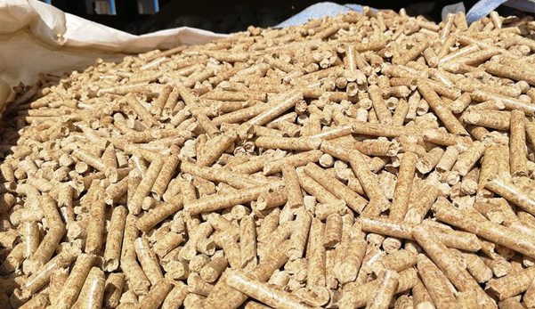 生態(tài)環(huán)境部回應(yīng)！生物質(zhì)成型燃料不是高污染燃料