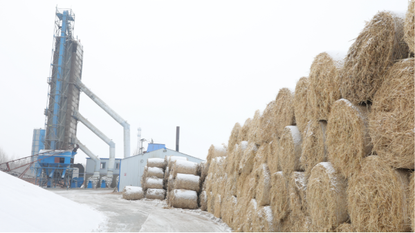 煤炭價格高，烘糧利潤低，吉林大安市500噸糧食烘干塔改用秸稈大包直燃鍋爐，每天省3萬